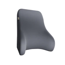 Frido Ultimate Sofa Backrest Cushion - Image 16